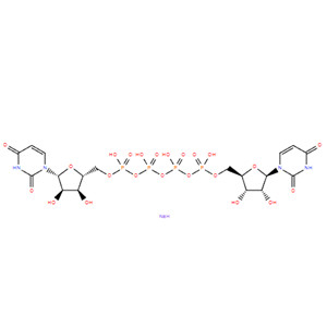 Diquafosol Sodium  CAS：211427-08-6 GMP