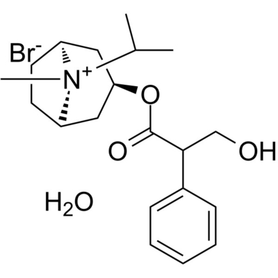 Ipratropium Bromide CAS：66985-17-9  GMP/DML  In-house