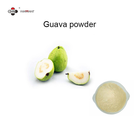 Light Yellow Anticancer Fine Powder Guava Fruit Extract