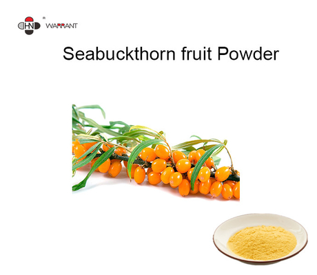 Radiation Resistant Brown Fine Organic Sea Buckthorn Powder