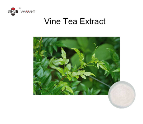 Food Grade 98% Myricetin Vine Tea Extract