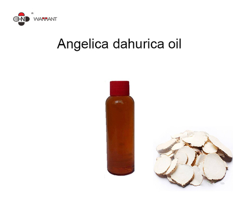 Herbal Aroma Angelica Dahurica Natural Essential Oils