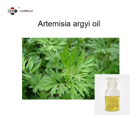 Artemisia Argyi Oil