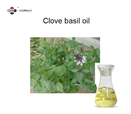 Asthma Relief 67% Eugenol Clove Basil Oil