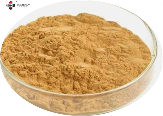 GMP 100% Natural Anti Oxidation Dong Quai Extract
