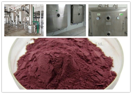 GMP 25% Proanthocyanidins Cranberry Extract Powder
