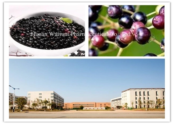 CAS 84603 58 7 Anthocyanins Elderberry Fruit Extract