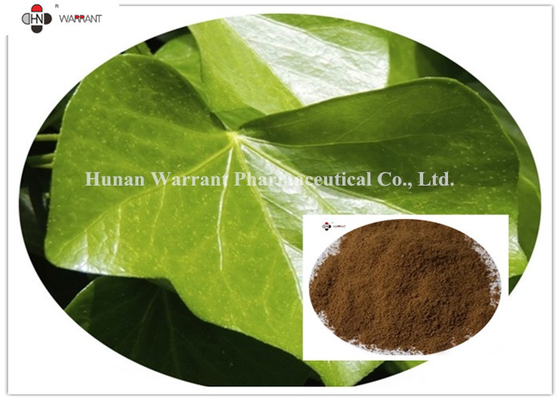 20% Hederagenin  CAS 14216 03 6 Ivy Leaf Extract For Dry Cough
