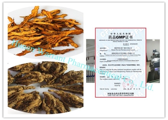 Pure natural no accessories  CAS 633 65 8 Rhizoma Coptidis Extract  GMP Registered with Korea MFDS