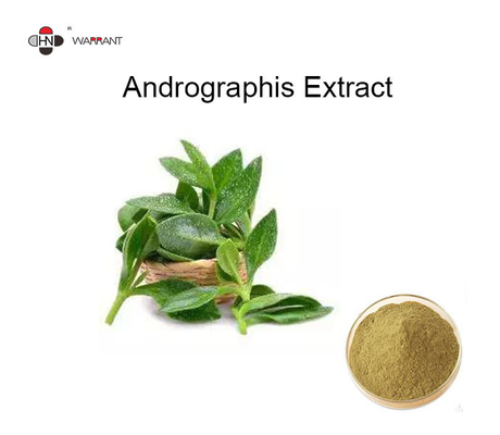 Food Grade Andrographis Paniculata Extract Andrographolide 10% 50% 98%