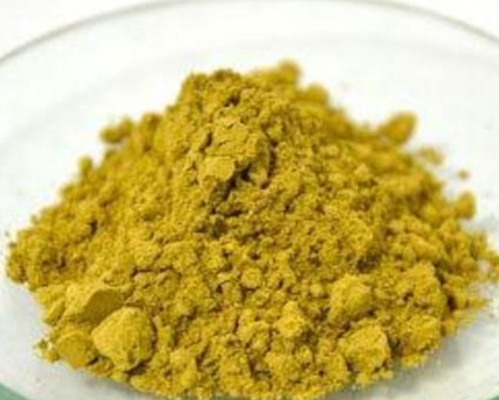 Food Grade Yellow Rosemary Leaf Extract In Skin Care Rosmarinic Acid 5%