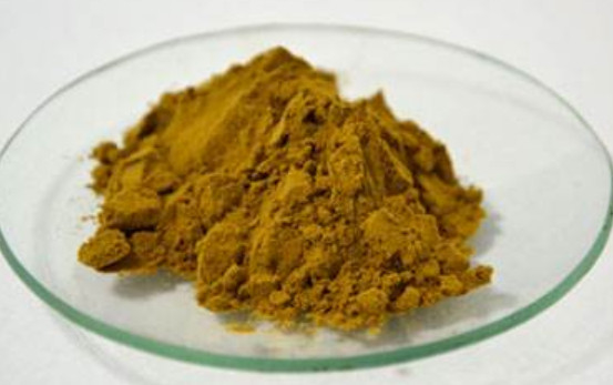 GMP Natural Antioxidant Herb Extract Powder Rosmarinus Officinalis Leaf Extract