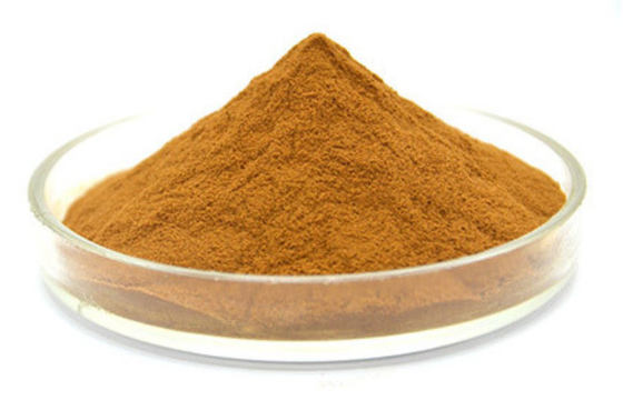 Antiinfection Echinacea Extract Powder Pure Natural Plant Extract