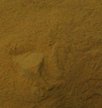 Amentoflavone Selaginella Pulvinata Extract Powder CAS 1617-53-4