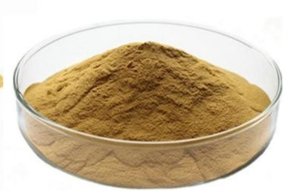 14216-03-6 Ivy Leaves Dry Extract Powder with Hederacosides Ingredient