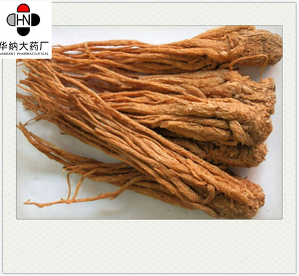 50% UV Angelica Root Extract Powder Food Grade Solvent Extraction