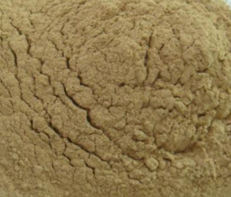 30% Flavonoids HPLC  Ginkgo Biloba Extract (GBE)