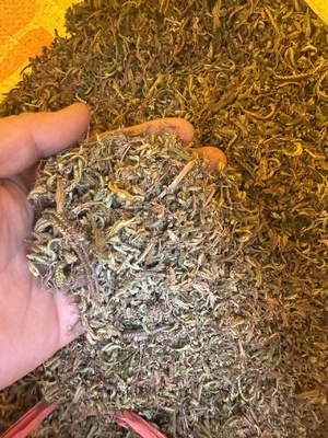 Brown Yellow Selaginella Lepidophylla Extract Regeneration And Moisturizing