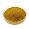 Anti Aging Fructus Sophorae Powdered Herbal Extracts