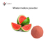 Red Fine Water Soluble Watermelon Fruit Powder
