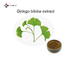 6% Lactones Ginkgo Biloba Leaf Powder