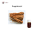Asthma Treatment 70% Ligustilide Angelica Essential Oil