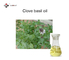Asthma Relief 67% Eugenol Clove Basil Oil