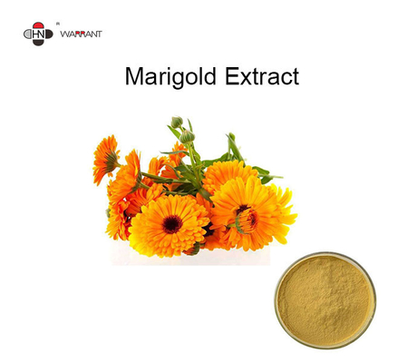 Zeaxanthin 5% Lutein 5% Marigold Extract Powder