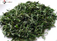 Brownish Powder 45% Polyphenols Green Tea Leaf Extract