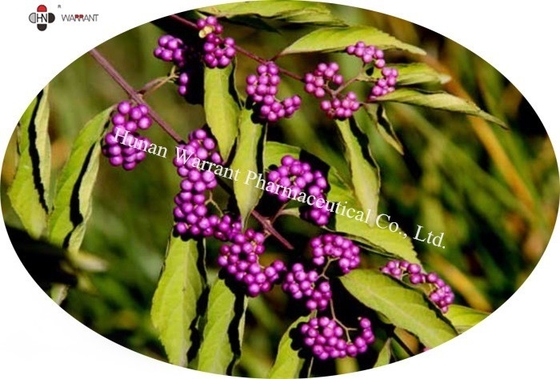 Callicarpa Nudiflora Herbal Extract，20-30%flavonoids，Pharmaceutical grade, cosmetic grade, feed grade