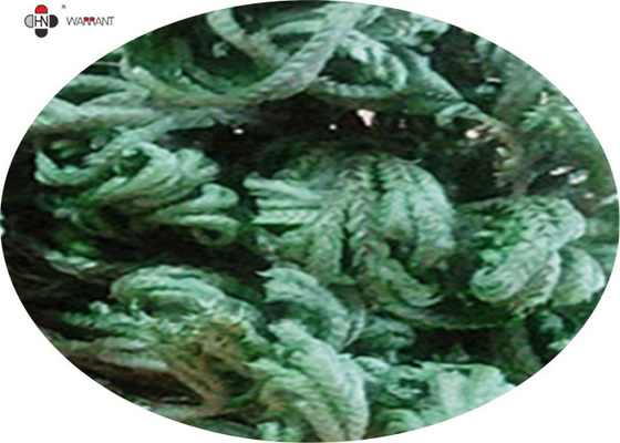 Anti Oxidant 10% Amentoflavone Bio Herbs Extract