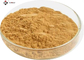 Cosmetic raw materials 1% Ligustilide  Angelica  Root Extract powder