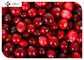 80 Mesh 25% Proanthocyanidins Organic Cranberry Powder