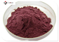80 Mesh Water Soluble 25% Dried Cranberry Powder