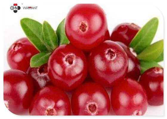 5% PAC Facial Beauty 80 Mesh Cranberry Extract Powder