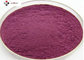 Medical Grade CAS 84603 58 7 Elderberry Extract Powder
