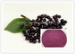 Medical Grade CAS 84603 58 7 Elderberry Extract Powder