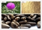 CAS 84603 58 7 45% Silymarin Herbal Extract Powder