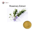 Fresh Benefits Rosemary Leaf Extract Powder Solvent Extraction For Skin Care