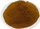 Skin Conditioner Callicarpa Japonica Fruit Extract Powder 20%-30% Total Flavones