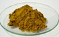 GMP Dandelion Extract Powder Flavonoids 4%-10% COA Available