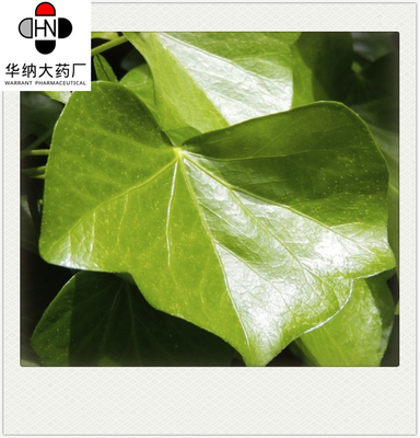 Hedera helix Korea Registration license， Herb Extract Powder 14216-03-6 Ivy Extract For Asthma