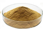 Pharmaceutical Grade Ivy Leaf Extract CAS 14216-03-6 GMP Certificate