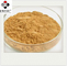 50% UV Angelica Root Extract Powder Food Grade Solvent Extraction