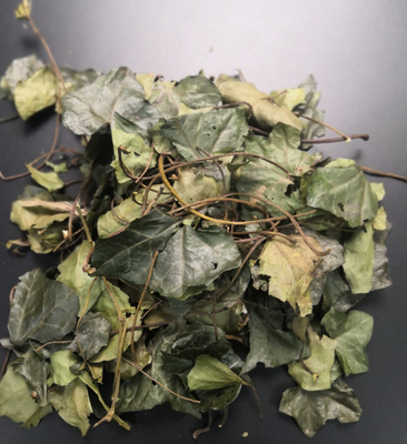 Ivy Leaf Extract (Hedera helix) 13% Hederacoside C（HPLC）  Brown Yellow Powder DMF  GMP nature Korea Registration license